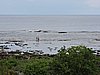 DSCN5444.JPG