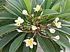 DSCN5445.JPG