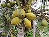 DSCN5447.JPG