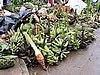 DSCN5467.JPG