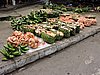 DSCN5471.JPG