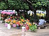 DSCN5473.JPG