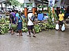 DSCN5474.JPG