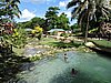 DSCN5481.JPG