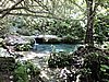 DSCN5483.JPG
