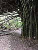 DSCN5489.JPG