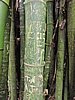 DSCN5490.JPG