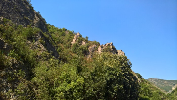 DSC00524WP_20180715_15_24_37_Rich.jpg
