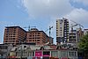 DSC00354.JPG