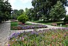 DSC00379.JPG