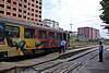 DSC00418.JPG