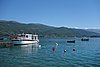 DSC00516.JPG