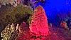 DSC00524WP_20180715_15_15_07_Rich.jpg