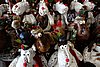 DSC01147.JPG