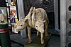 DSC09446.JPG