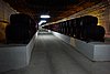 DSC09604.JPG