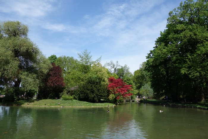 DSC09845.JPG