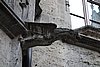 DSC09904.JPG