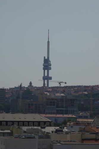 DSC00550.JPG