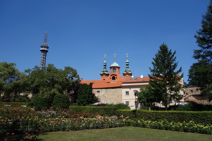 DSC00807.JPG