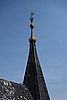 DSC00553.JPG