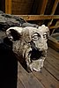 DSC00554.JPG