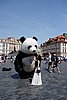 DSC00562.JPG