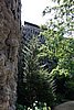 DSC00580.JPG