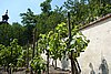 DSC00589.JPG