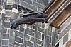 DSC00619.JPG