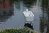DSC00734.JPG