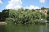 DSC00917.JPG
