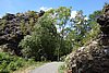DSC00919.JPG