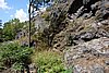 DSC00920.JPG
