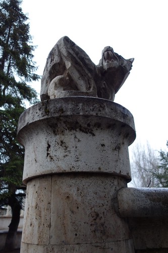 DSC01580.JPG