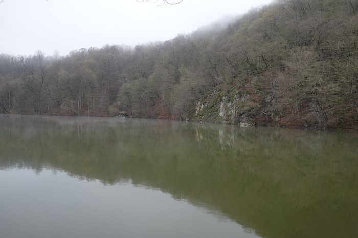 DSC01593.JPG