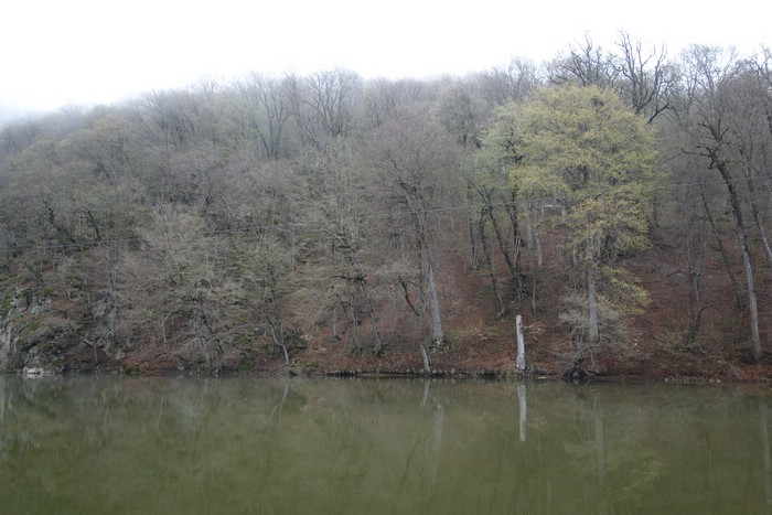 DSC01594.JPG