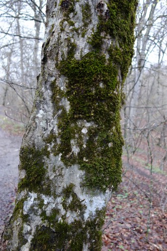DSC01602.JPG