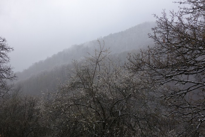 DSC01612.JPG
