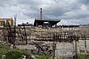 DSC01429.JPG