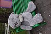 DSC01442.JPG