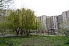 DSC01503.JPG