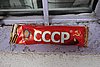 DSC01505.JPG