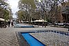 DSC01550.JPG