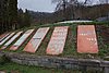 DSC01561.JPG