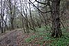 DSC01563.JPG
