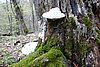DSC01564.JPG