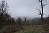 DSC01565.JPG