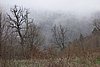 DSC01566.JPG