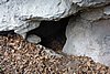 DSC01567.JPG